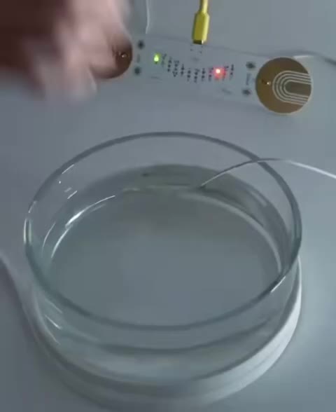 @INTERESTING VIDEO'S