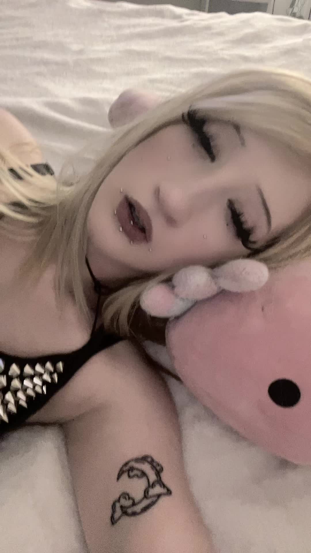@wfzgq