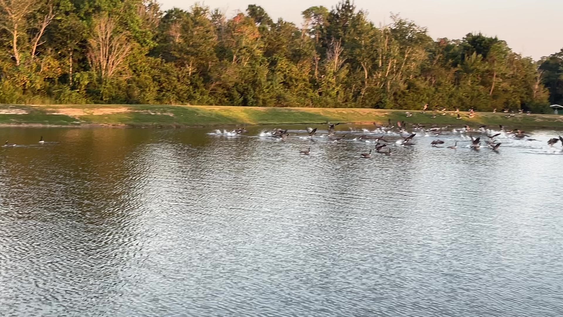 @Kimpressions68