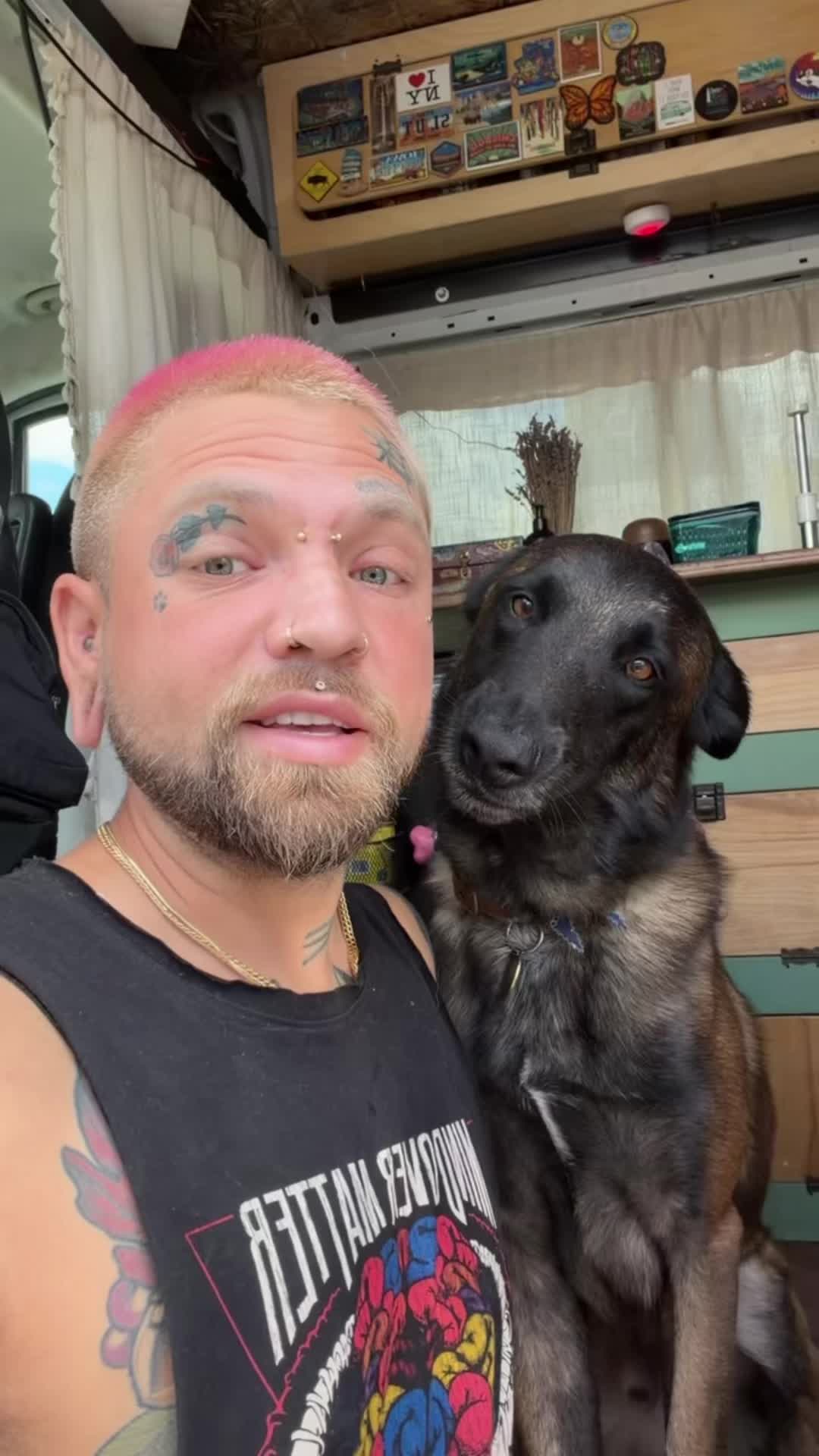 @balancedcanineacademy