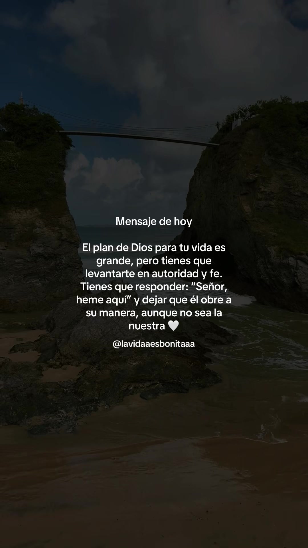 @vidabonita❤️🩹