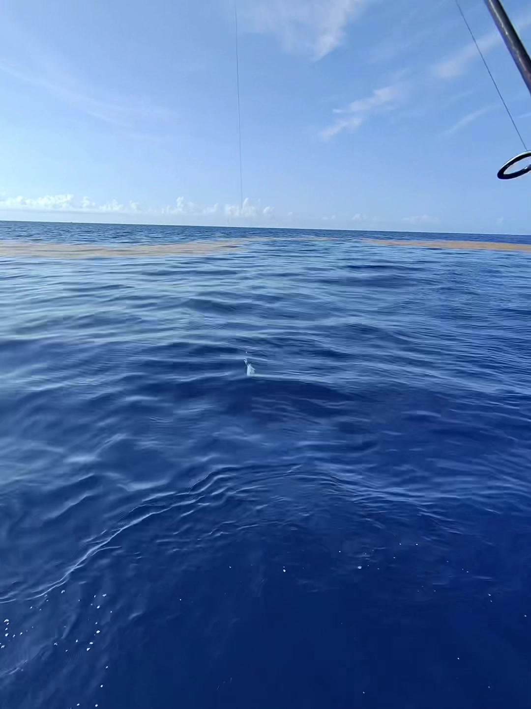 @captainjaxmiami