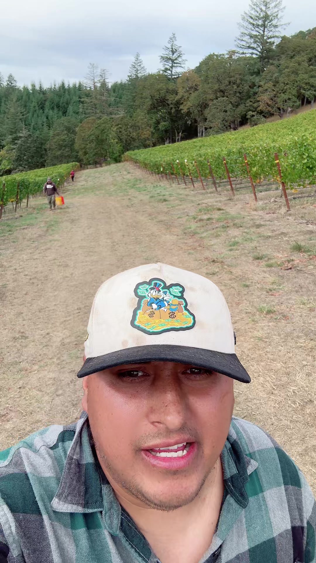 @🌪️💰El CHEF MILLONARIO 💰🌪️