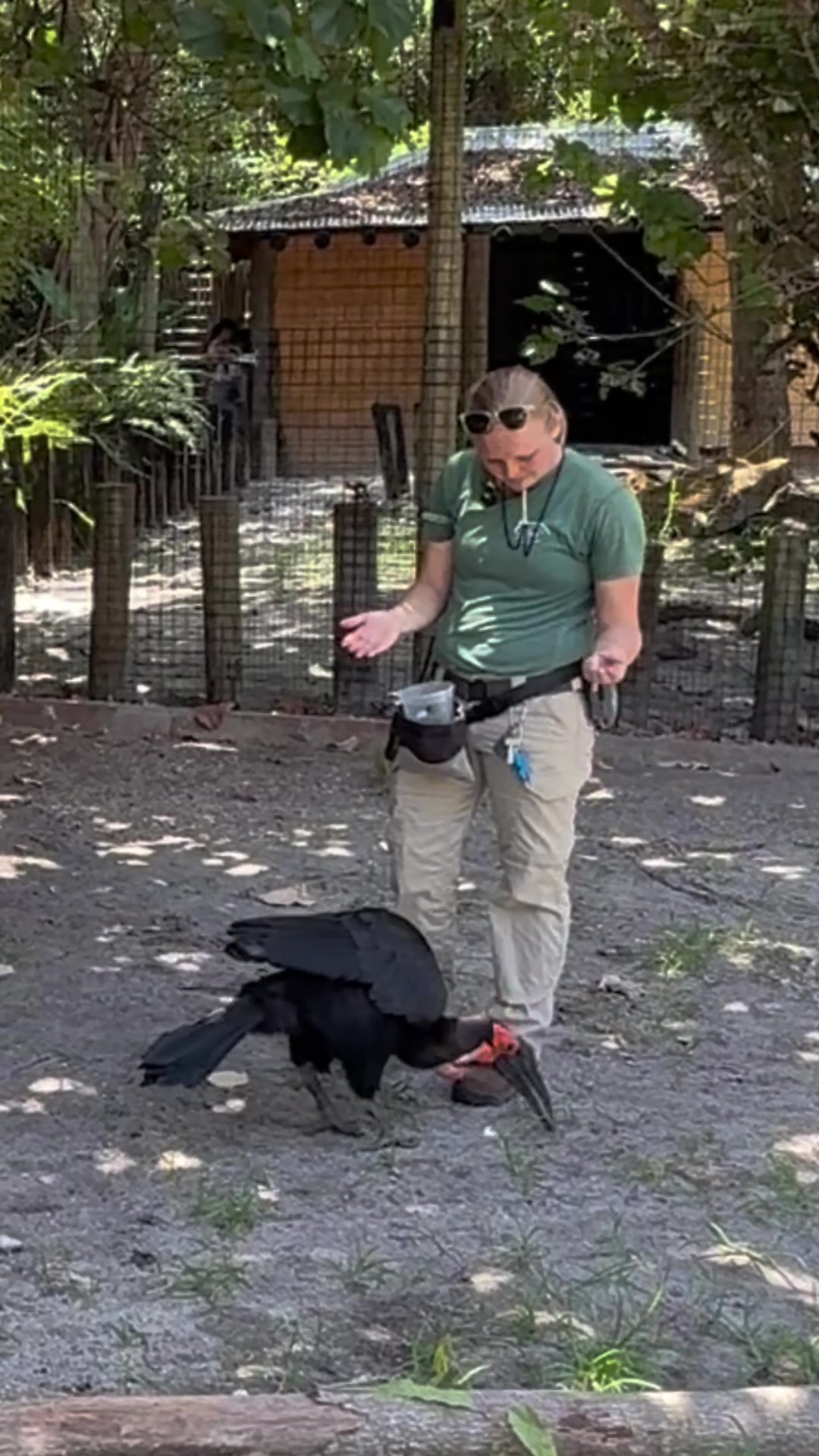 @Palm Beach Zoo