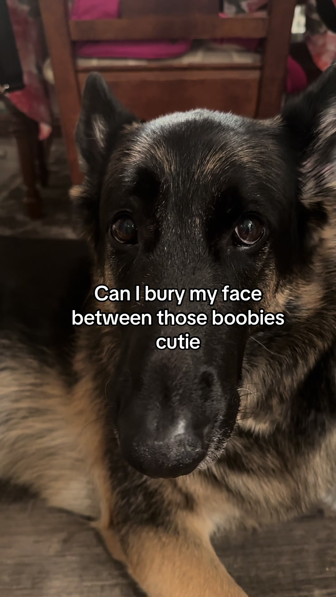 @Bhris