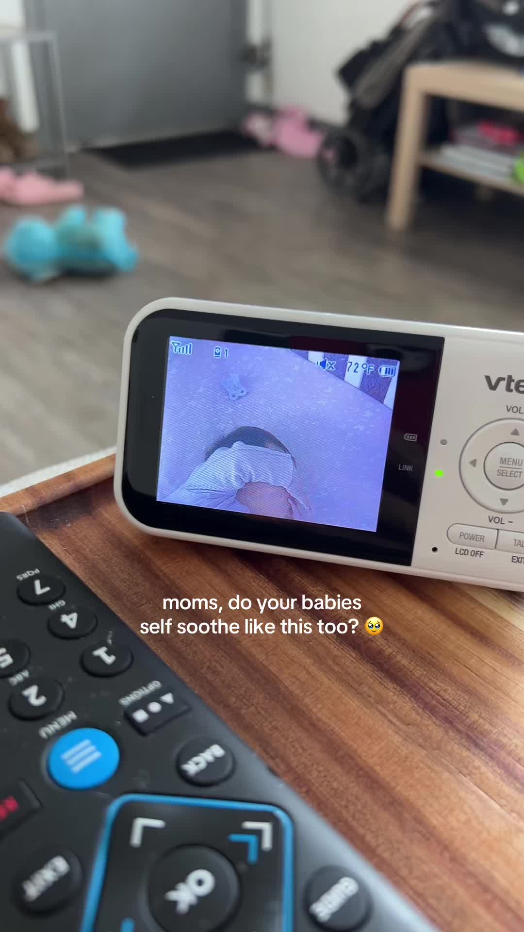 @dani