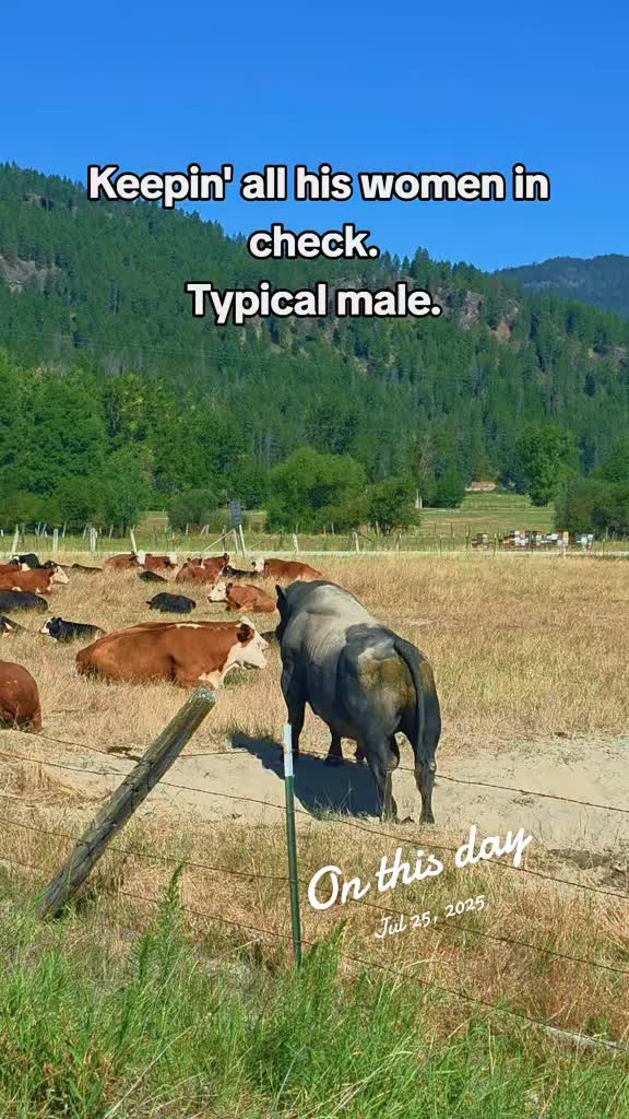 @🐴 ColdMountainRanch 🏇