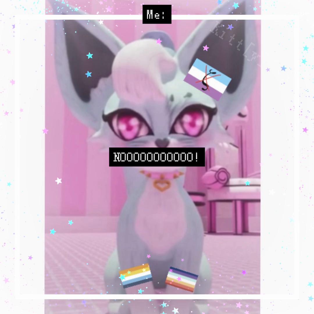 @🩷bad bubblegum bad meows pet