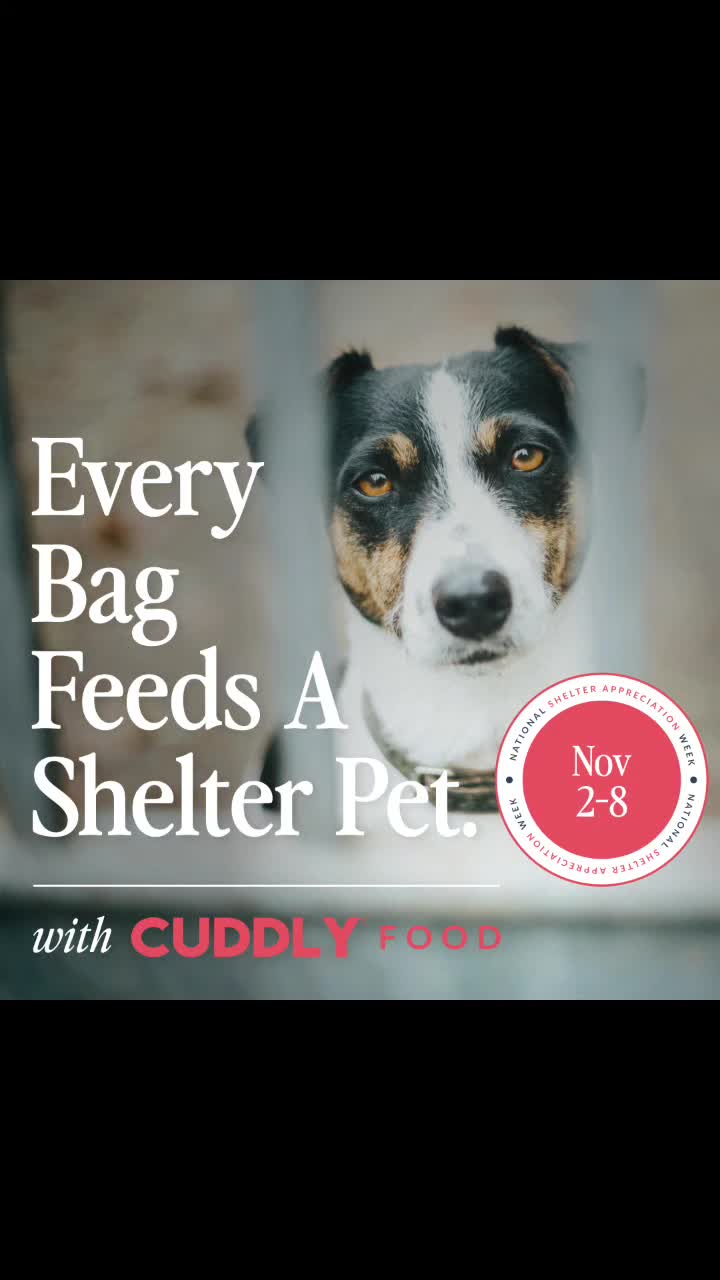 @SHARPofNY SiberianHusky Rescue