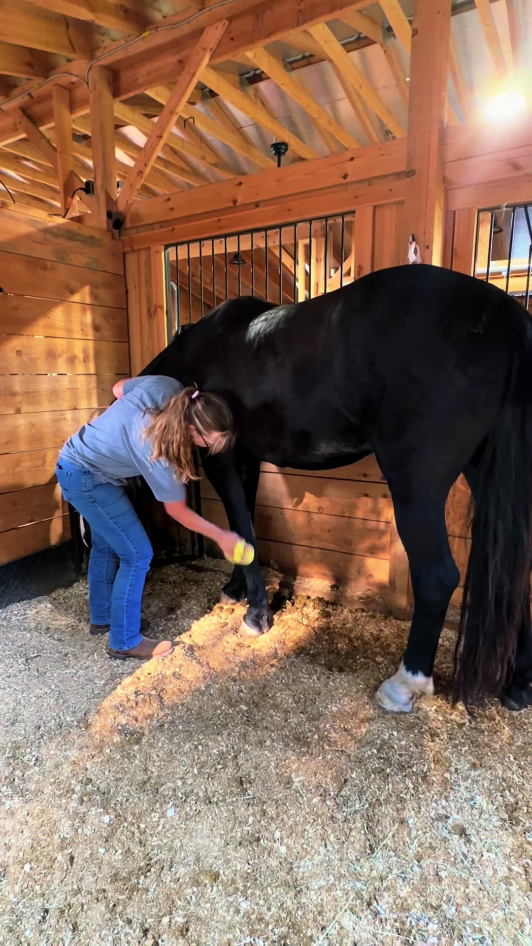 @Unshackled Hearts Ranch