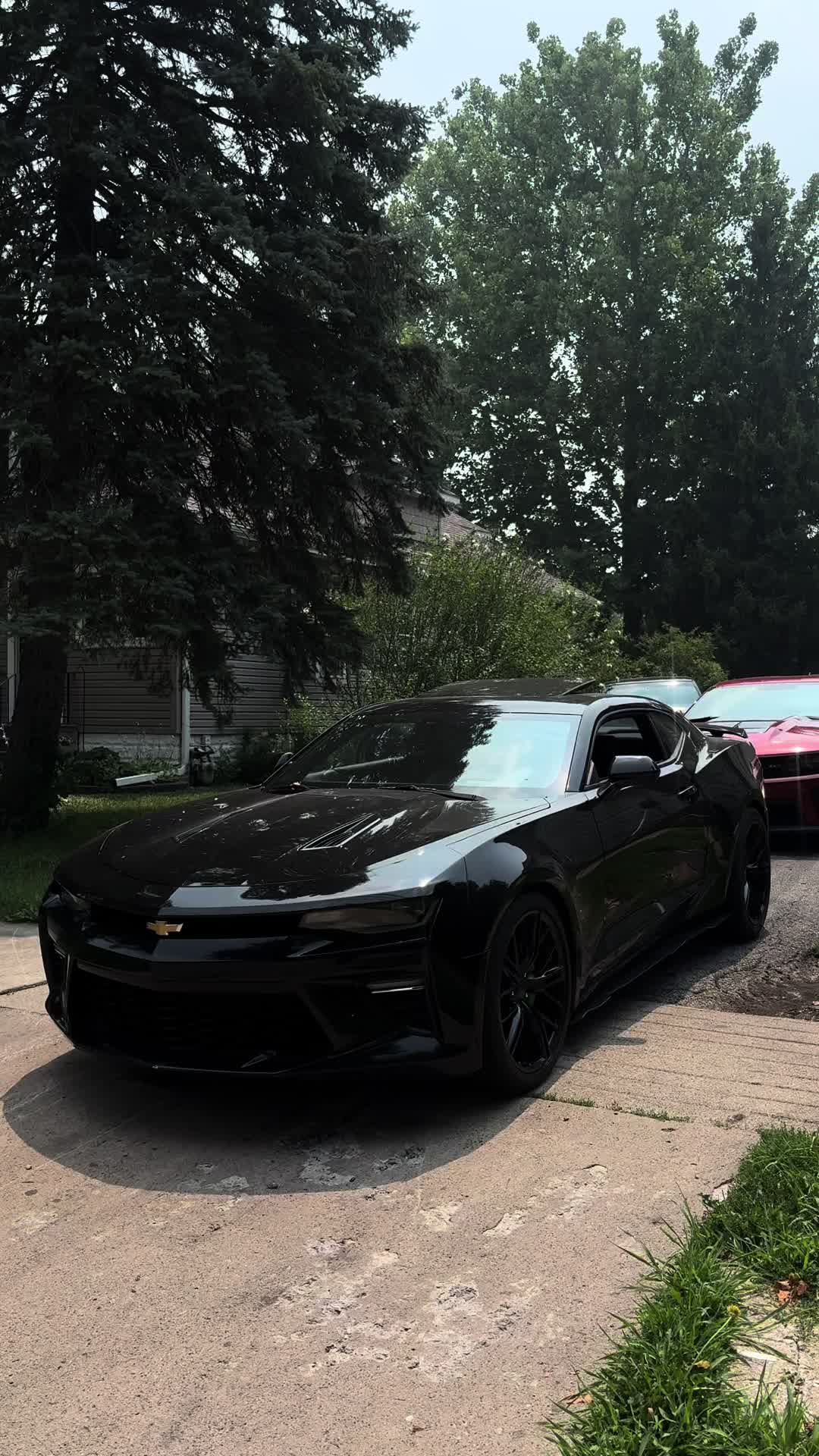 @turb0.ws6