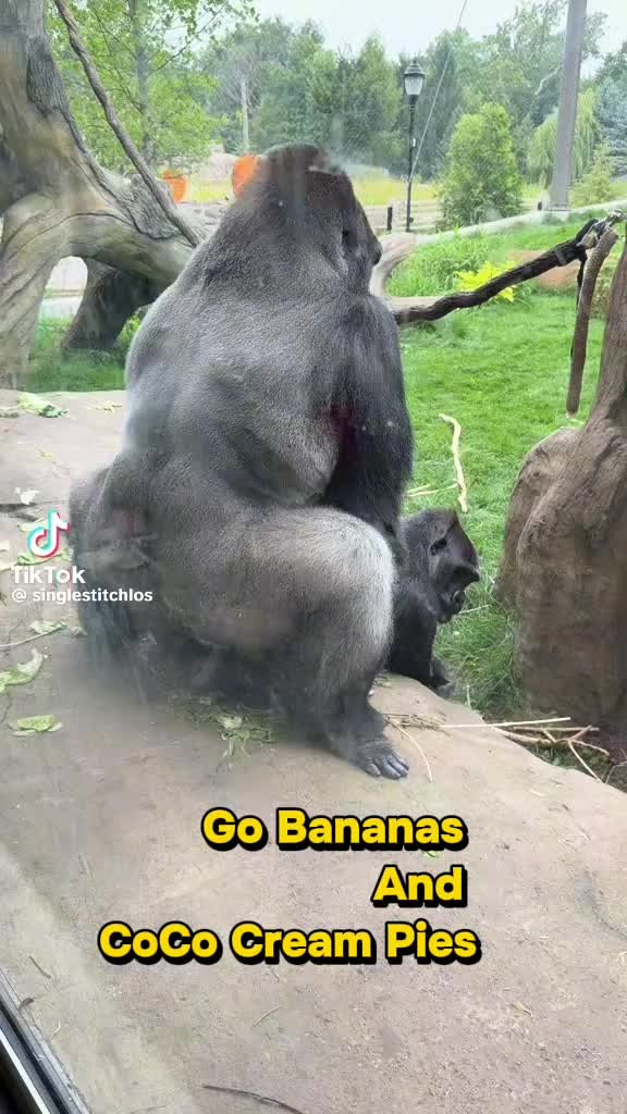 @Huh ??