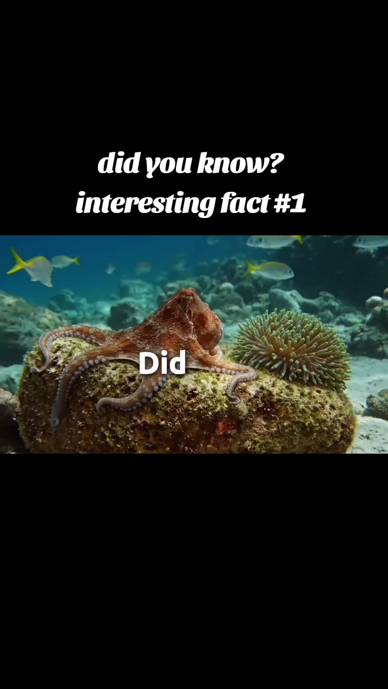 @KevOnRepeat