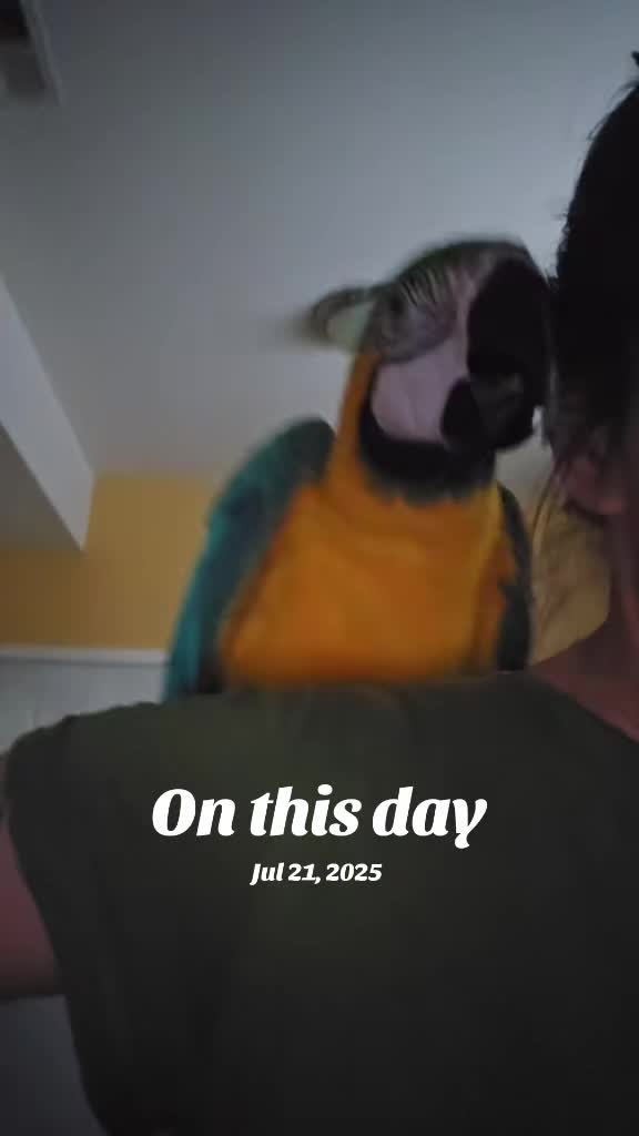 @🕴🏻Heisenbird🐦