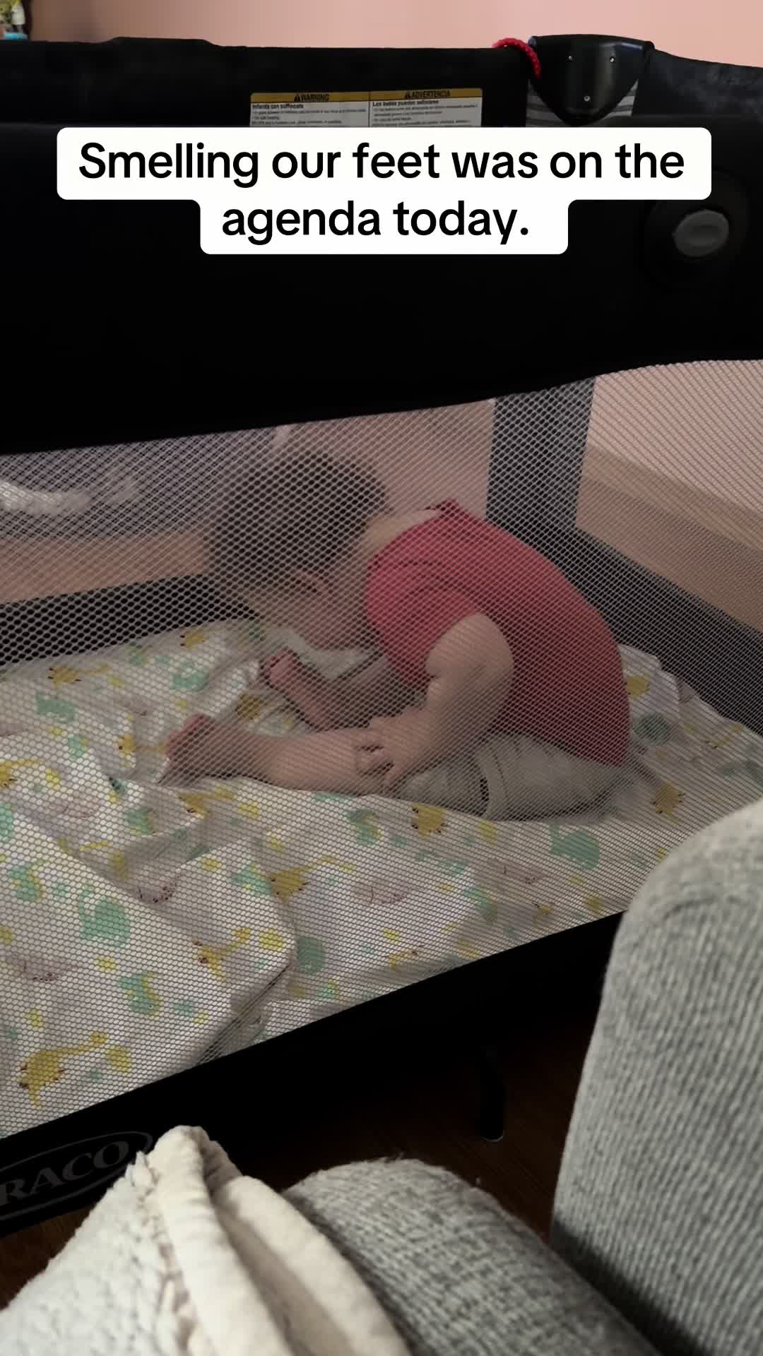 @ɛ r ica | b o y m a m a 🦕🦖