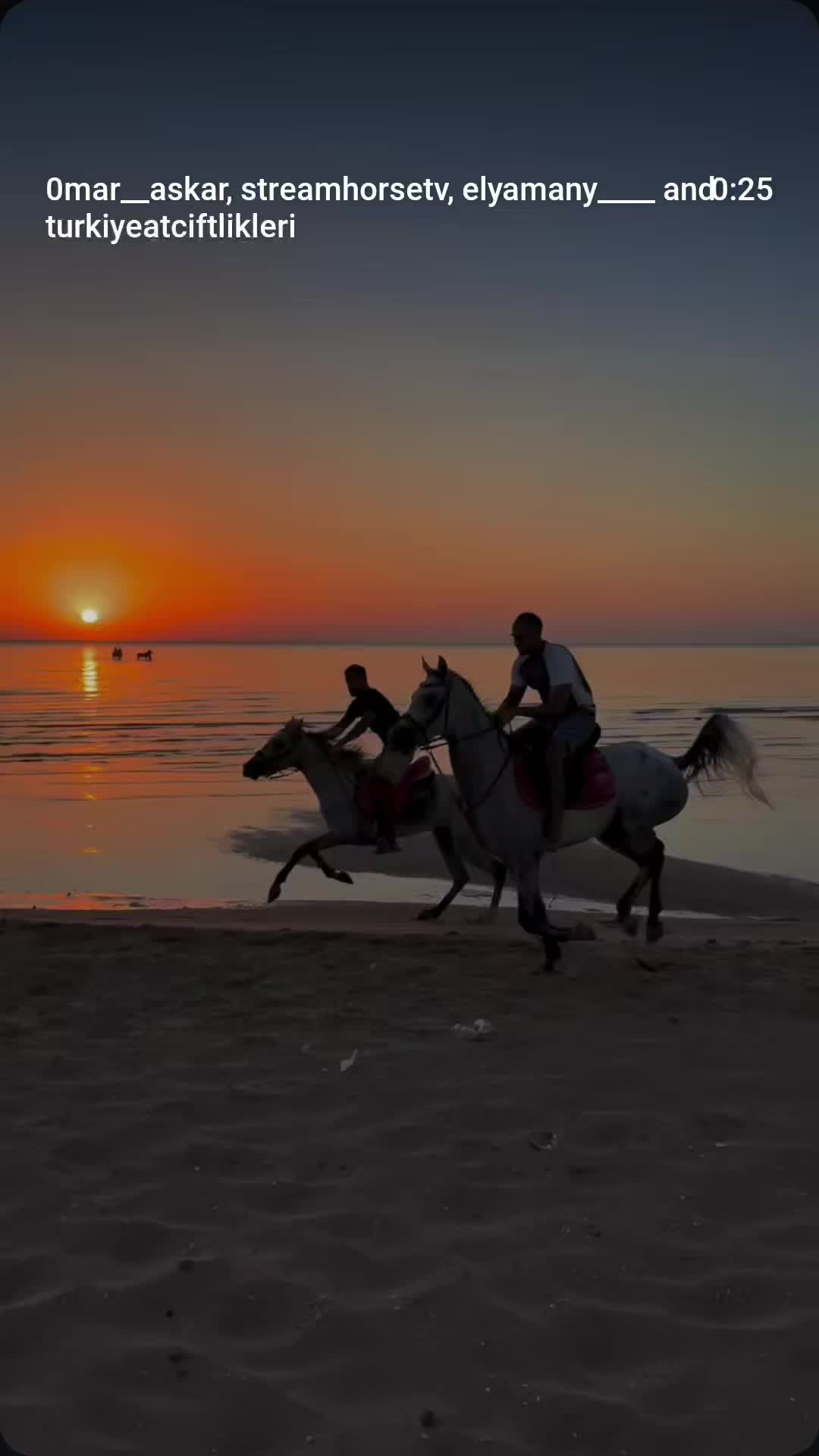 @streamhorse