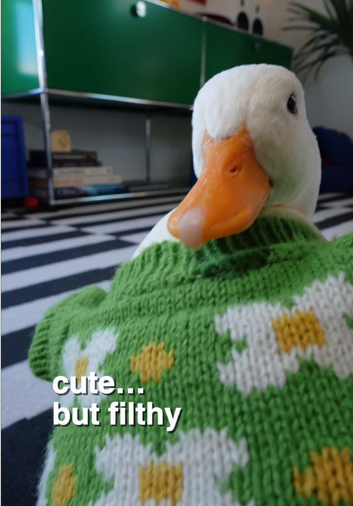 @ducks_in_space🪿🪿💦