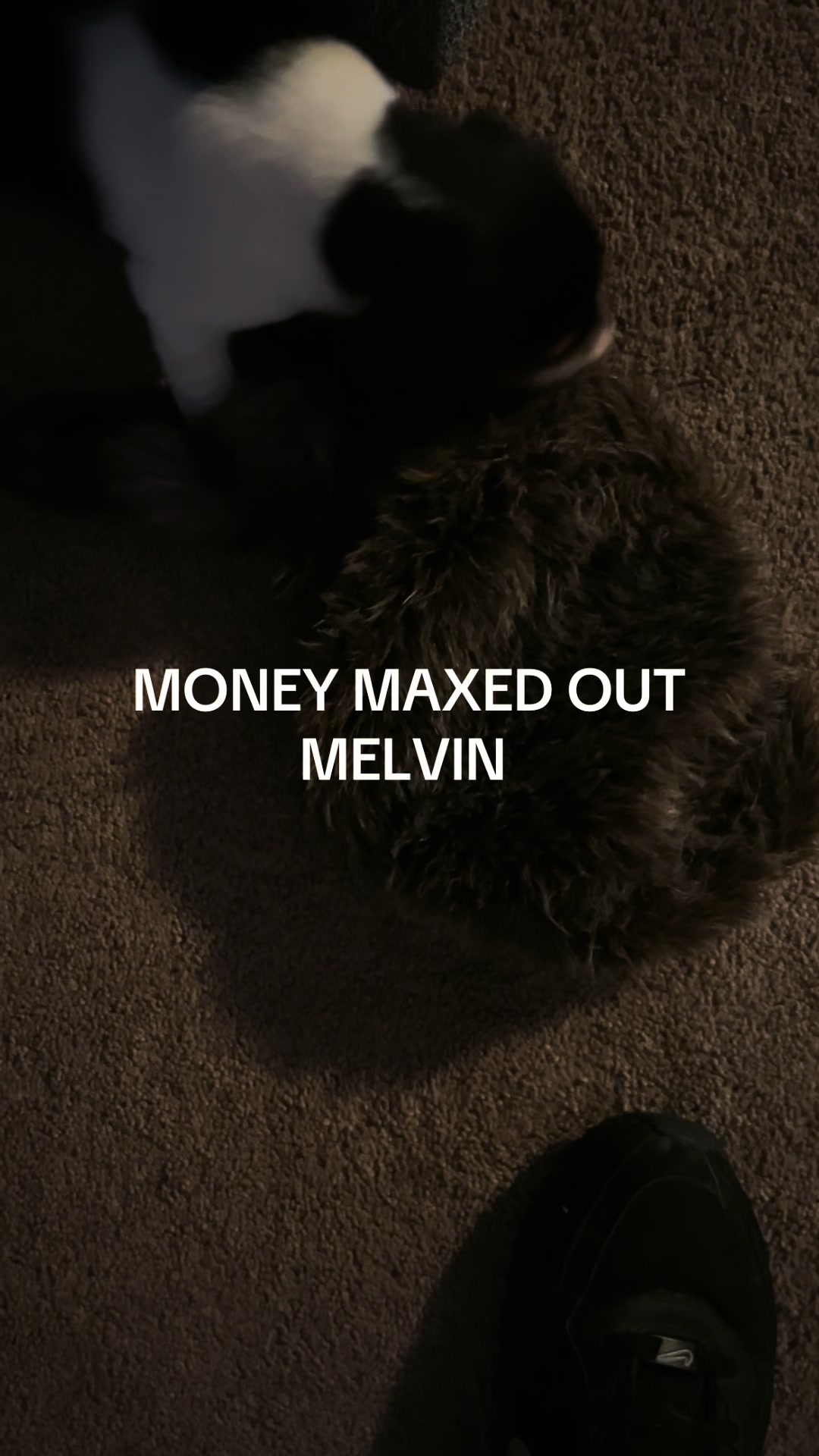 @DAN