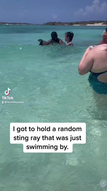 @itsashleeyxoxo
