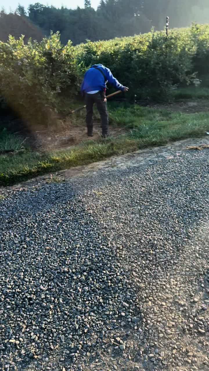 @Patricio780