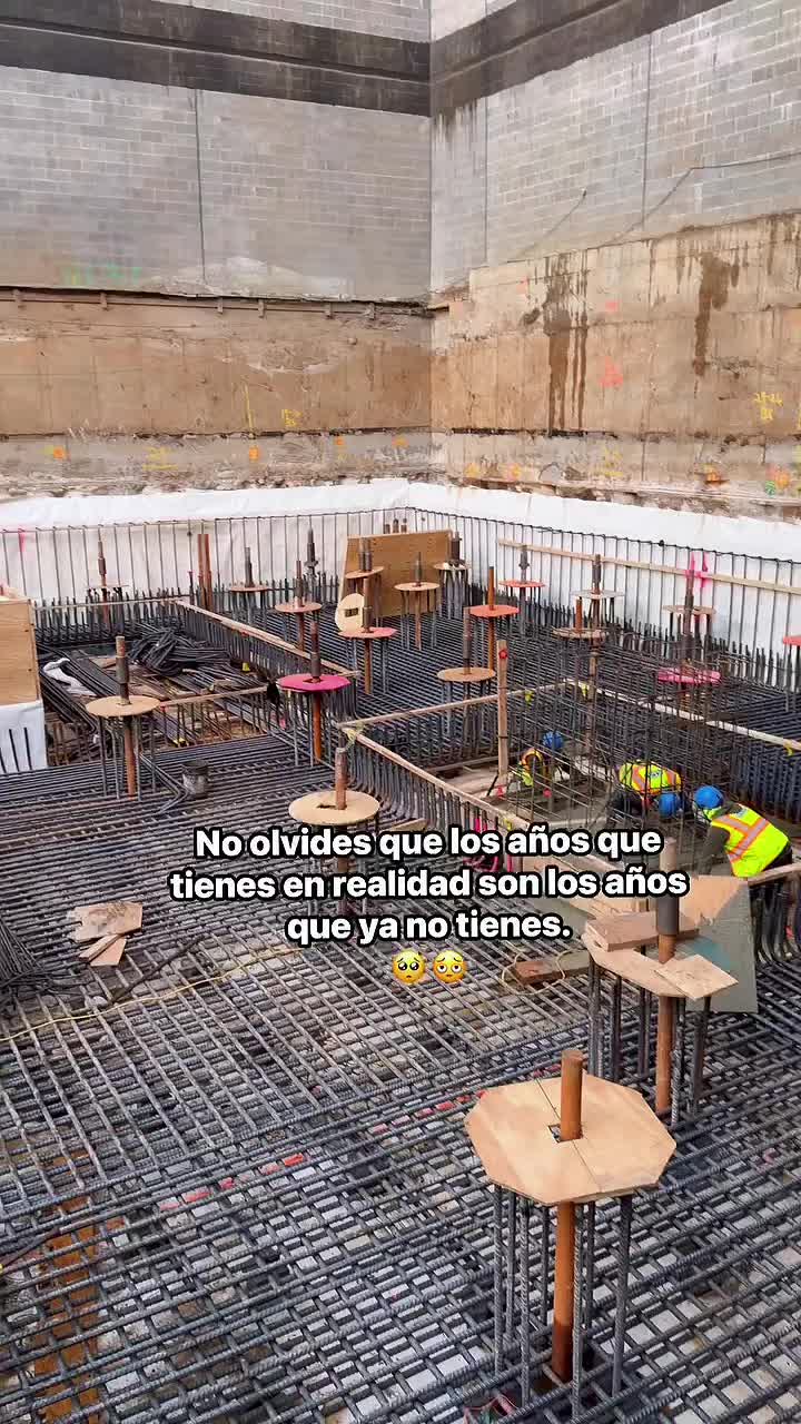 @Paca King