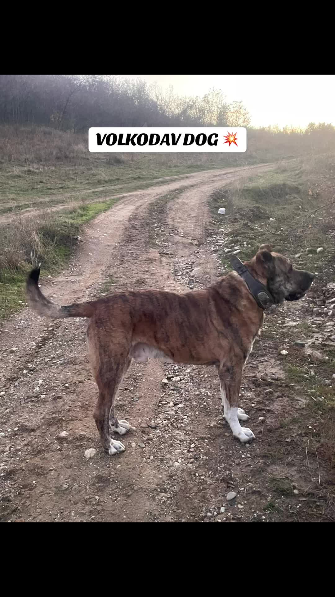 @𝑪𝑯𝑨𝑷𝑨𝑹