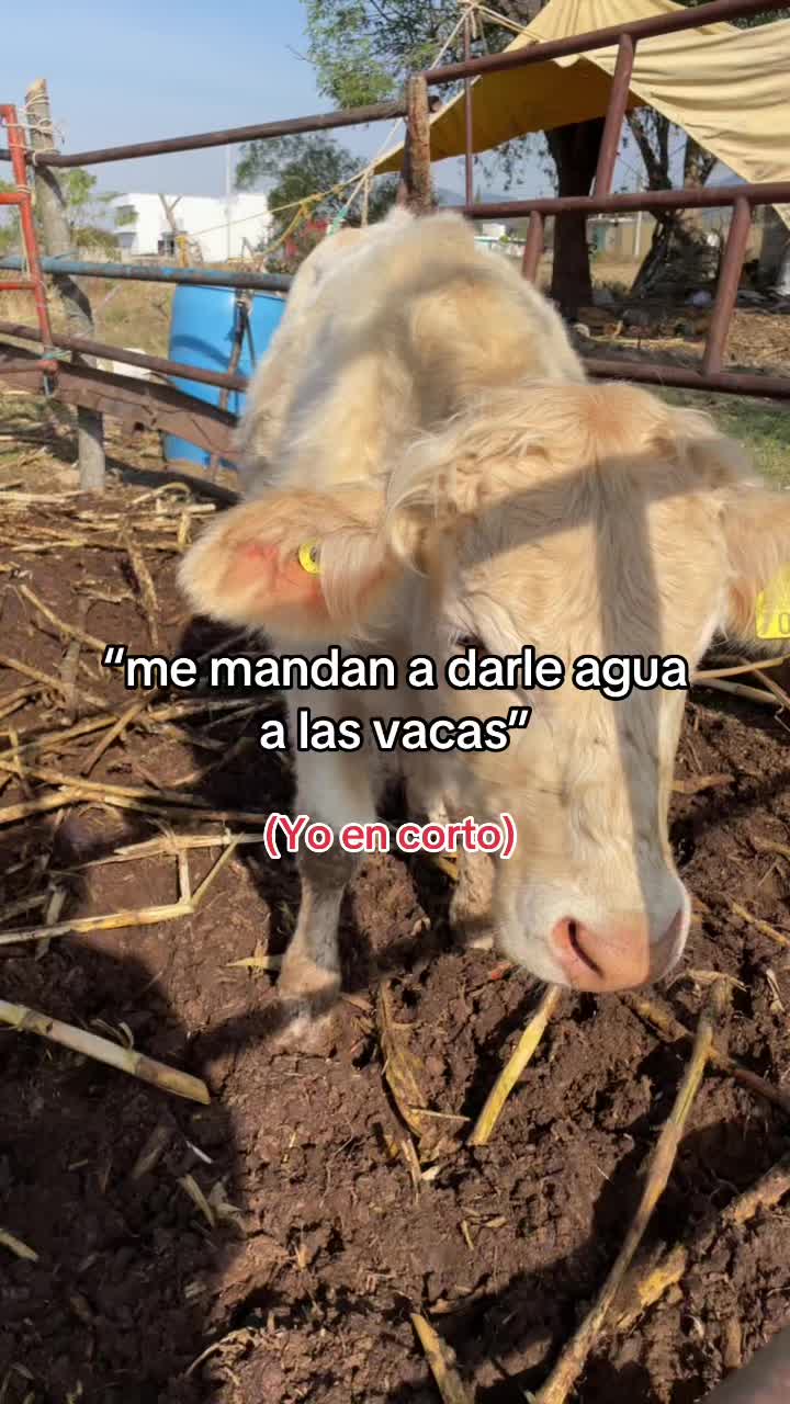 @Paolaaa
