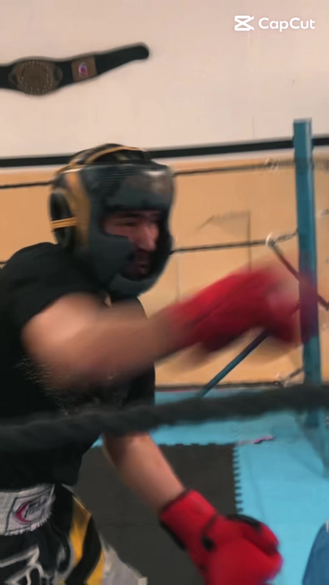 @🇹🇳 ℬ𝓲𝓵𝓸𝓾 🥊