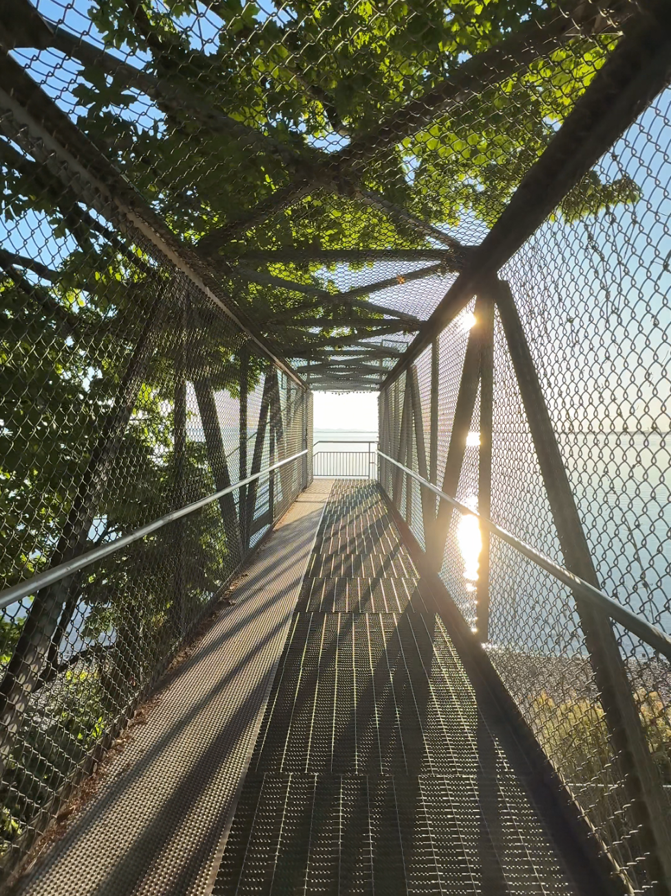 @DiscoverSurreyBC