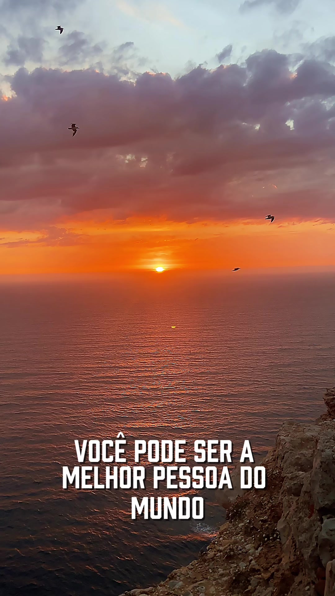 @sendo_a_felicidade
