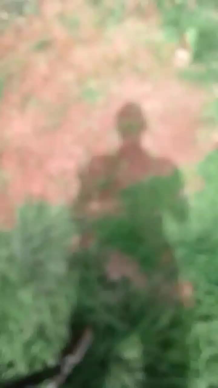 @ChampopoRocketsHardwoker