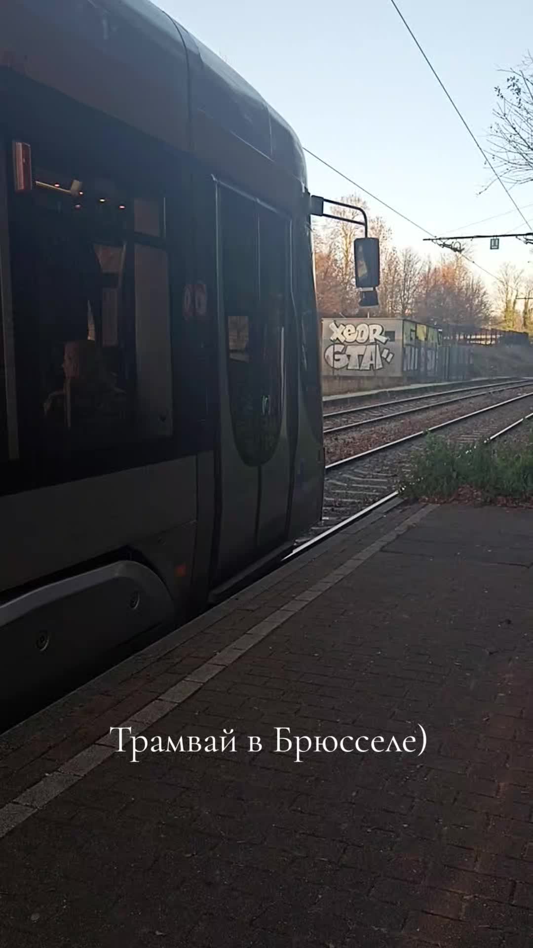 @Aviator_🇲🇩🇧🇪🇩🇪🇧🇬♐