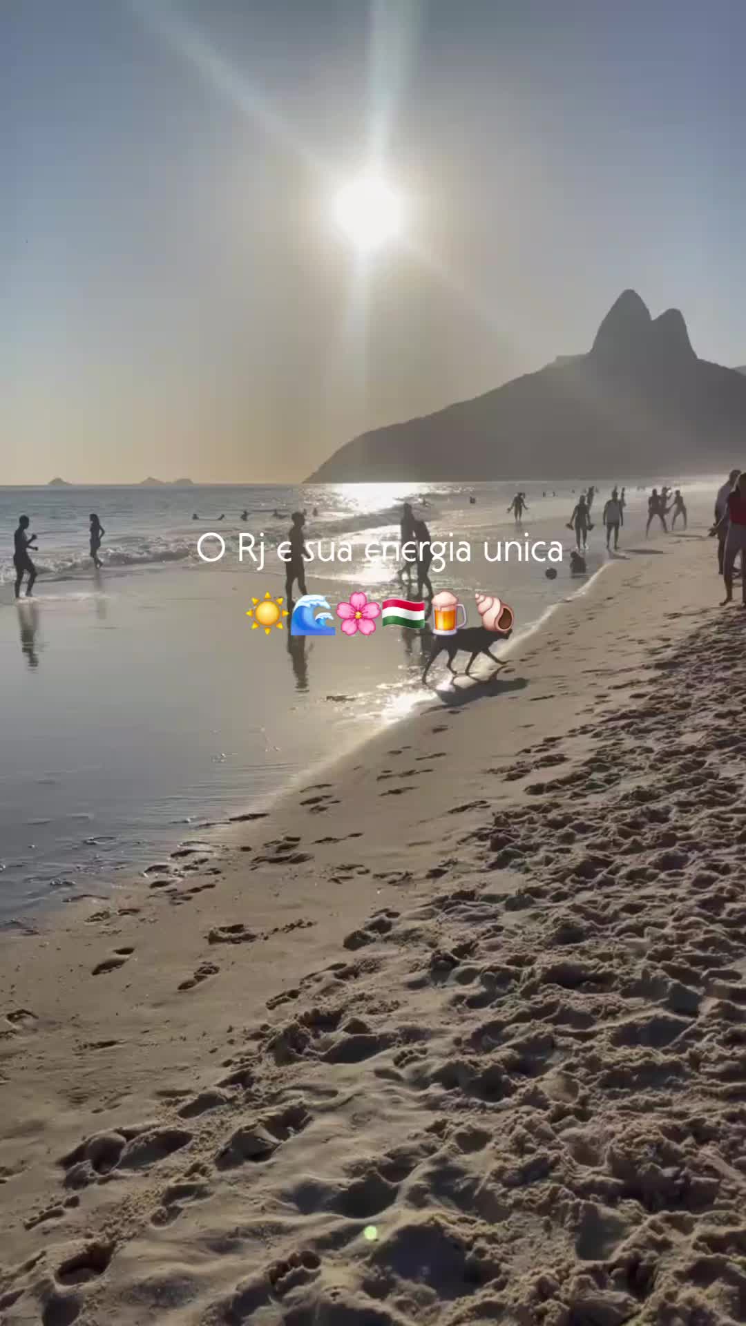 @Isabella Diniz