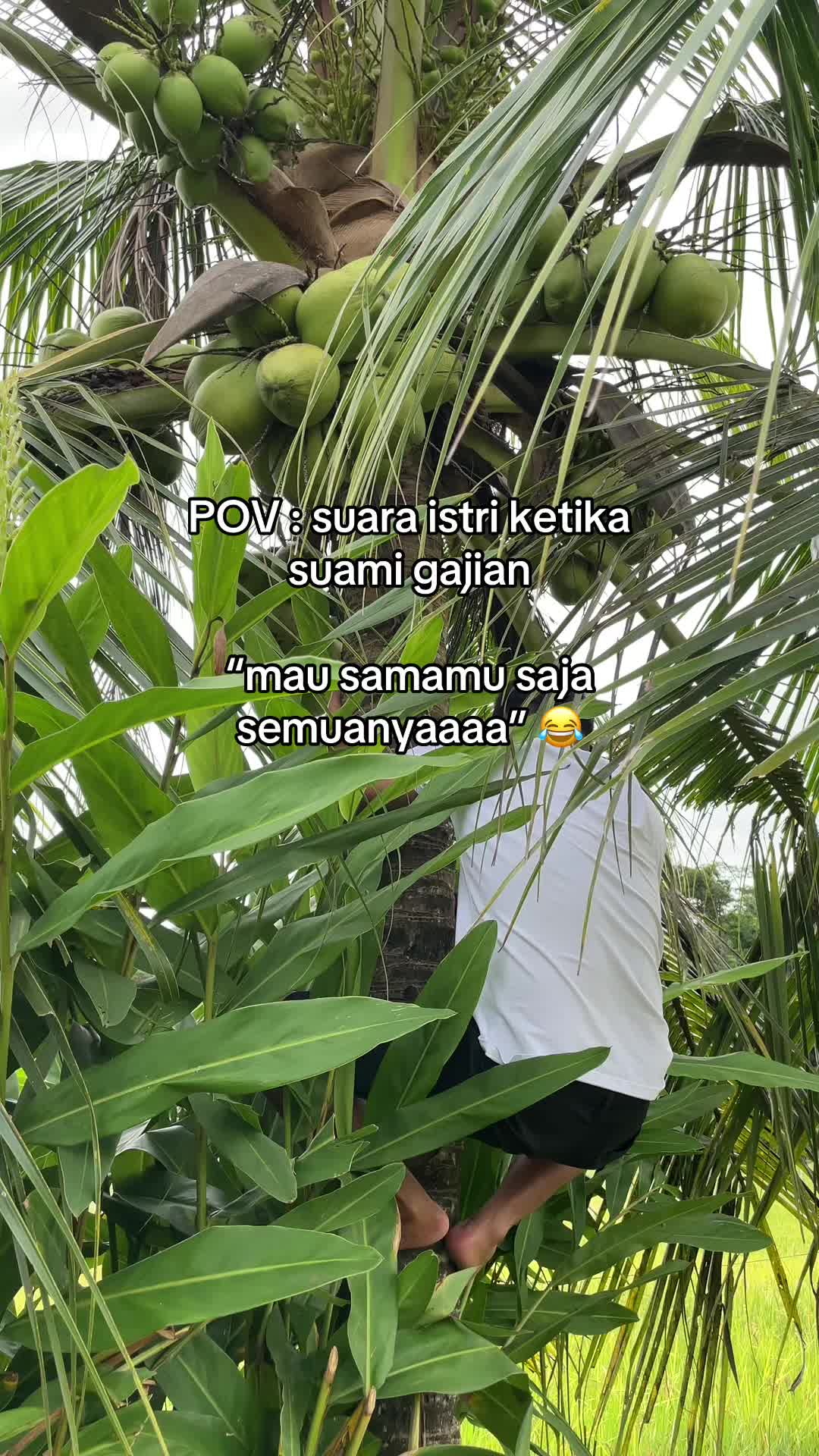 @it's menia