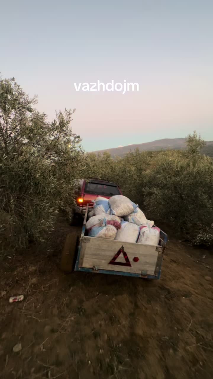 @fabrik vaj ulliri Luan Bengaj
