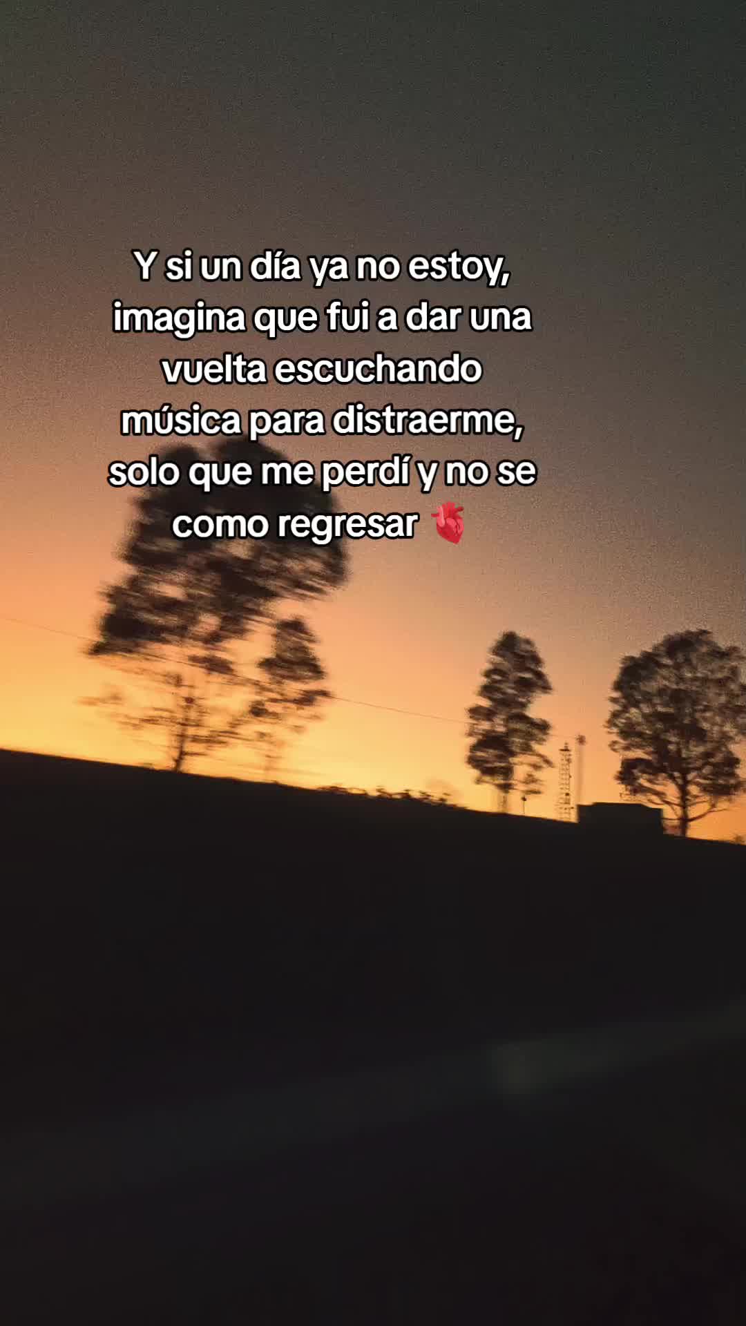 @Seli ✨
