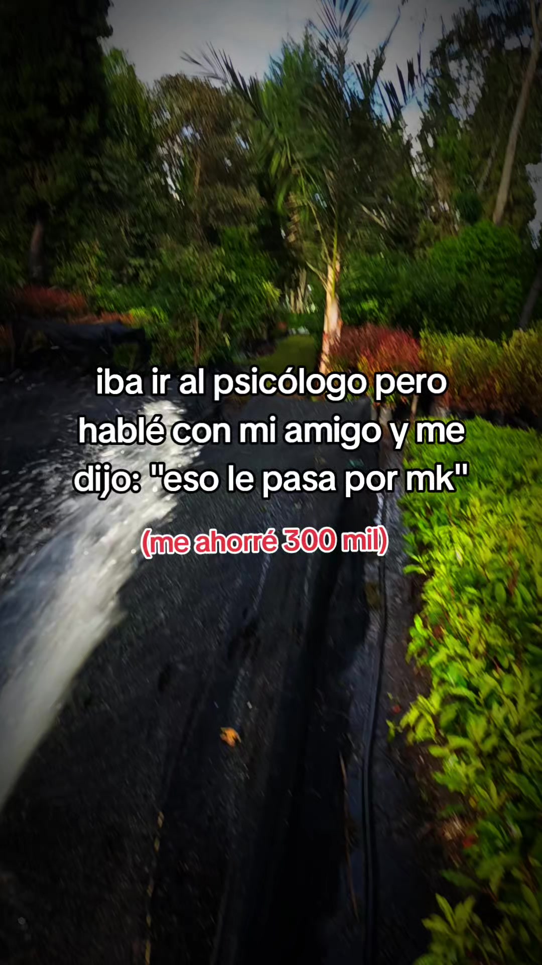@Farid
