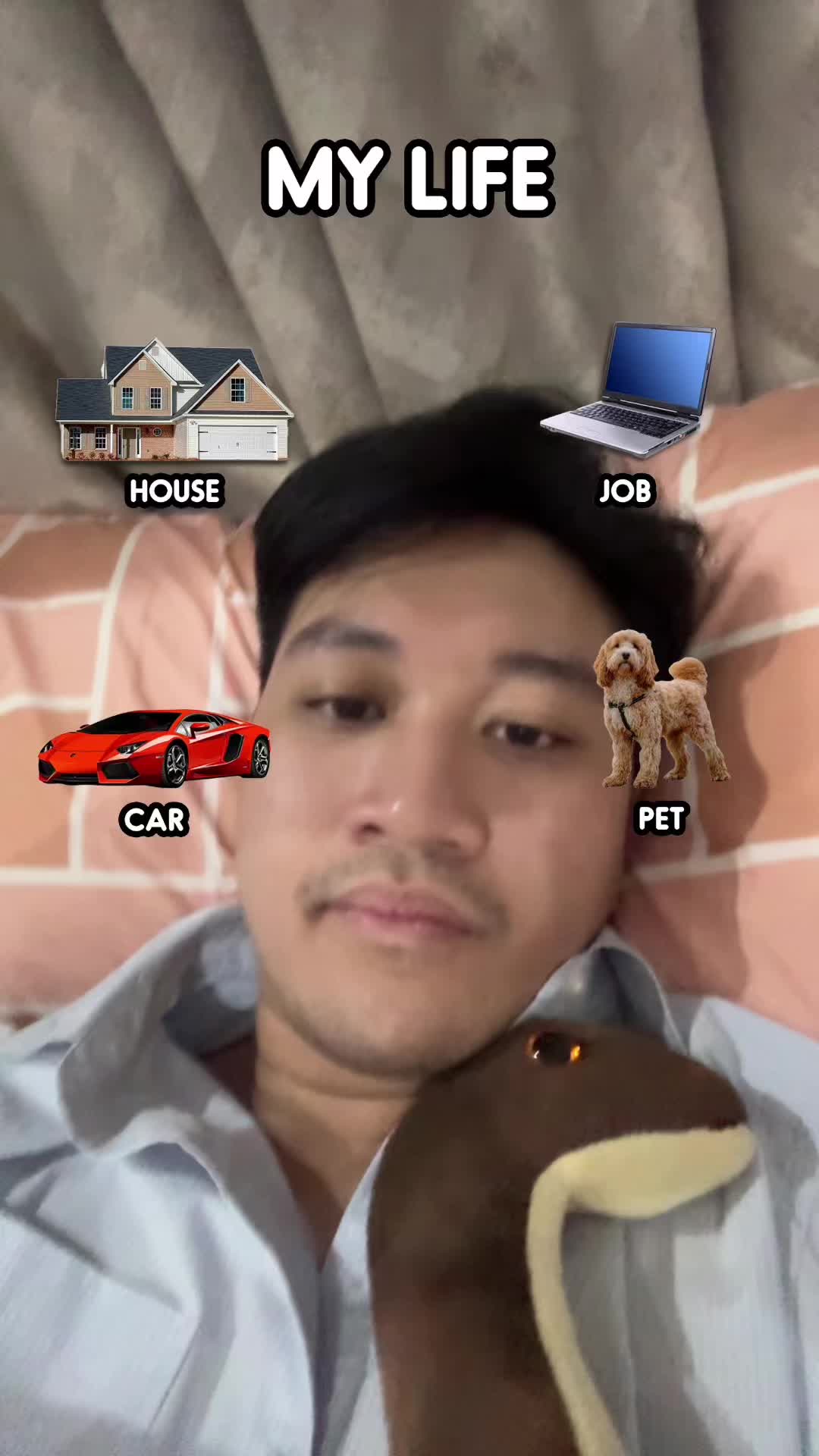 @DinoNuggies