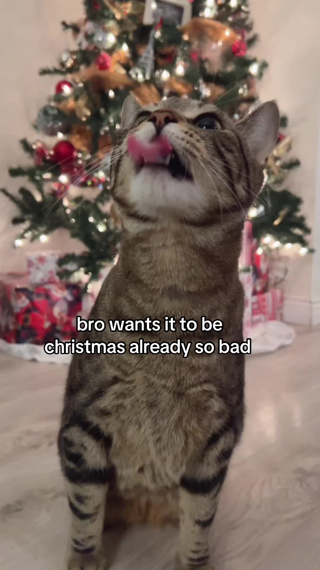 @Blawg