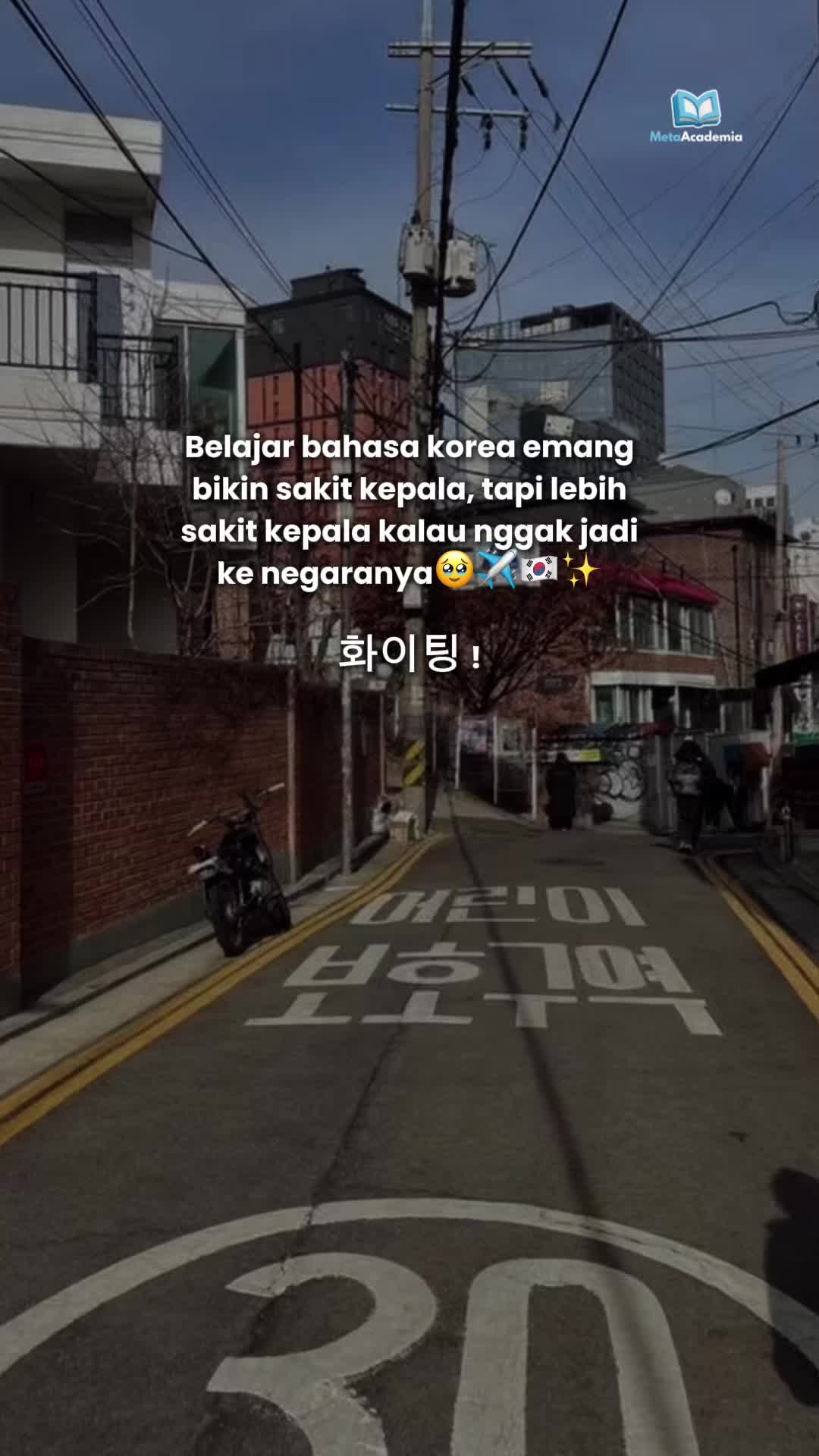 @Meta Academia