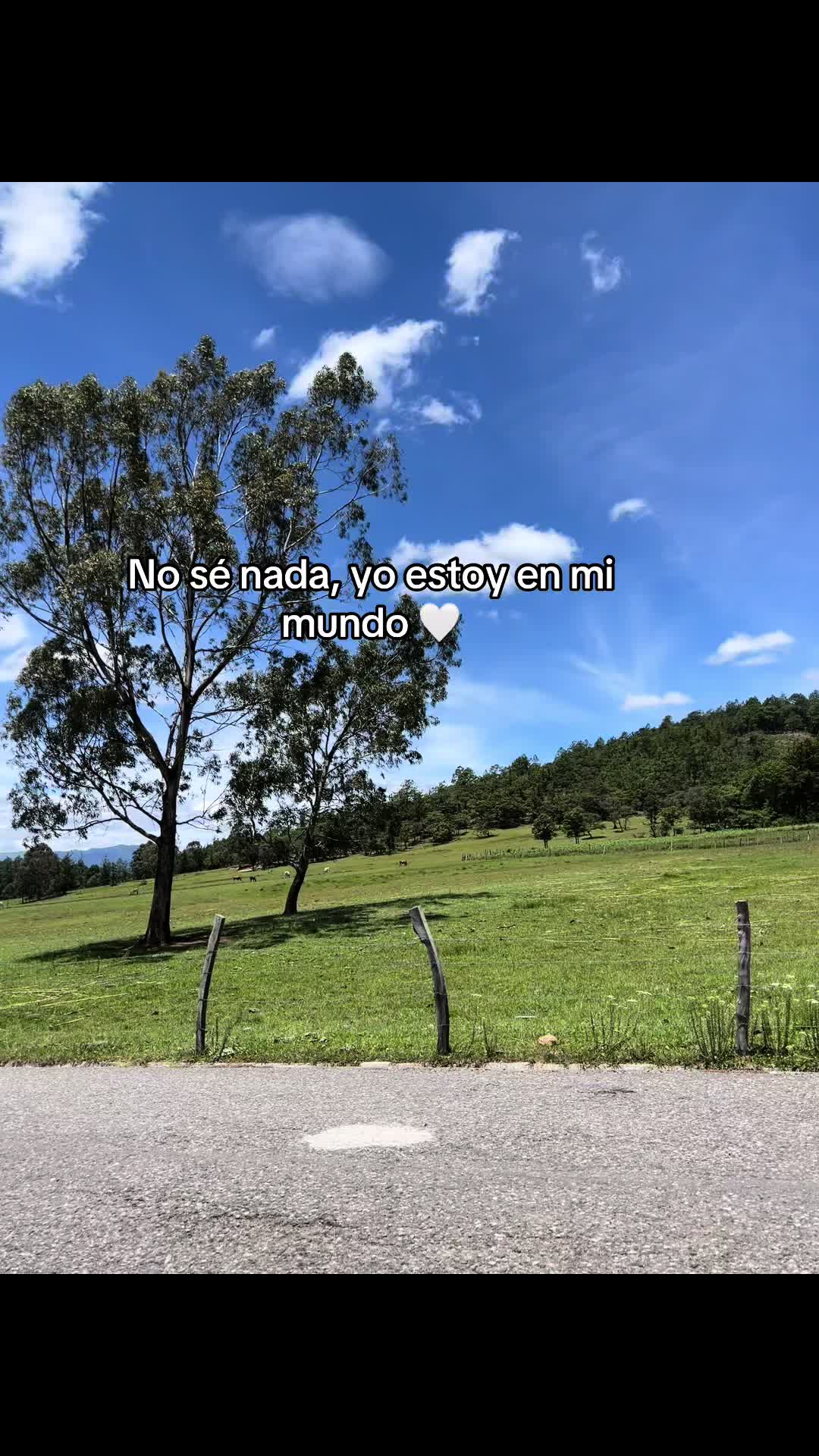 @De Leon