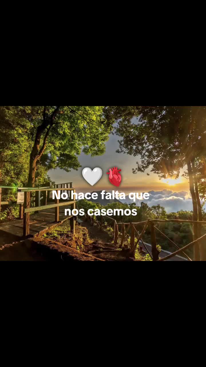 @503🇸🇻