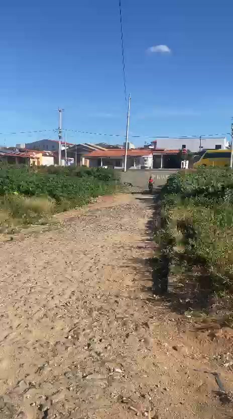 @Vit&oacute;rinha