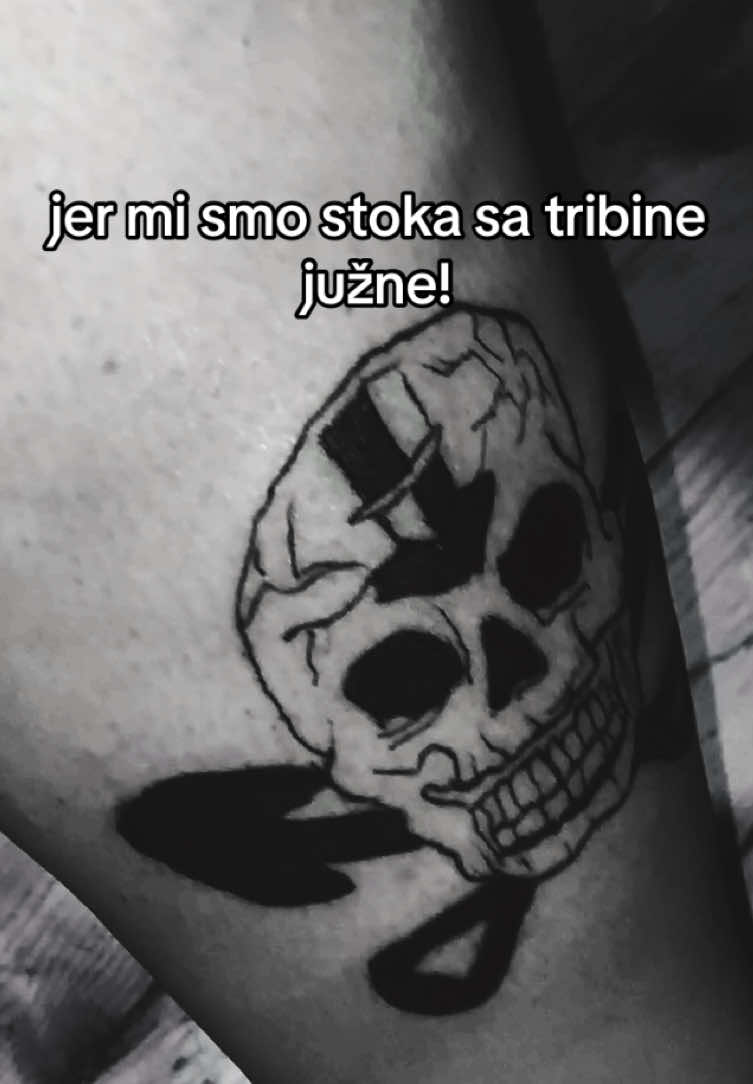 @ejdzica