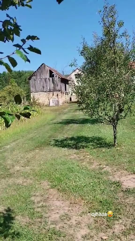 @Žuta Tica💛