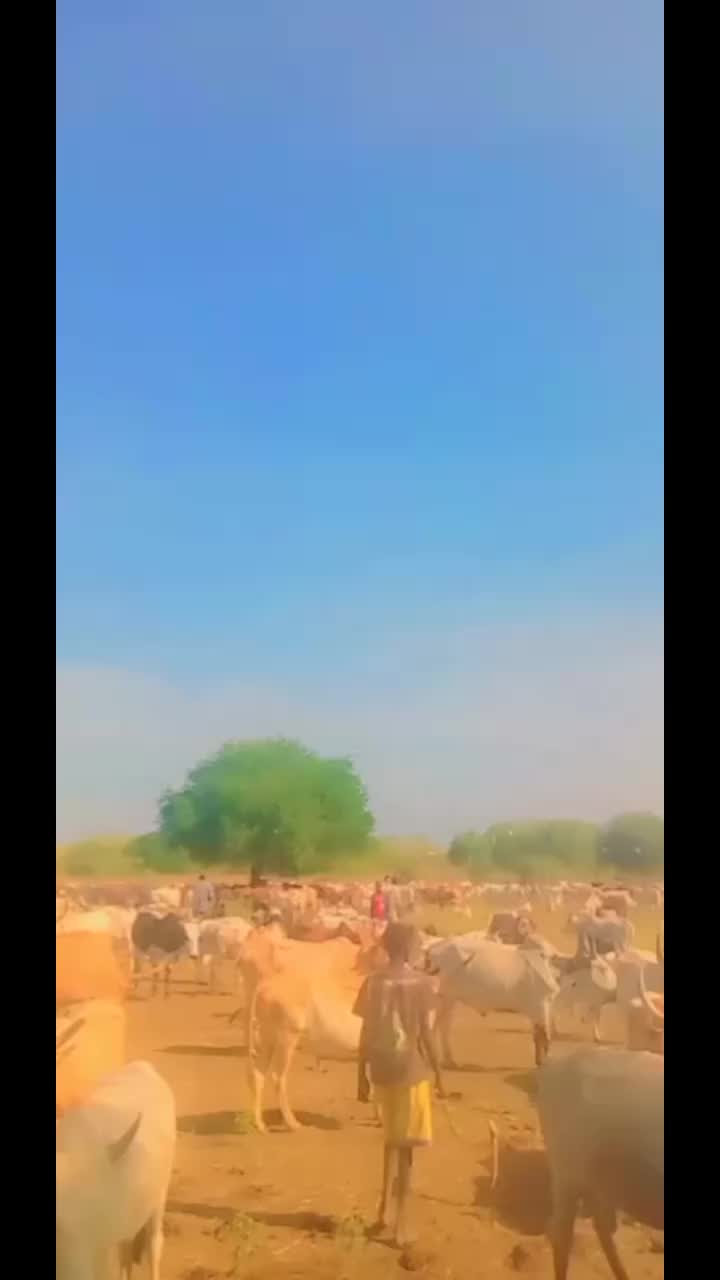 @chol mawith m
