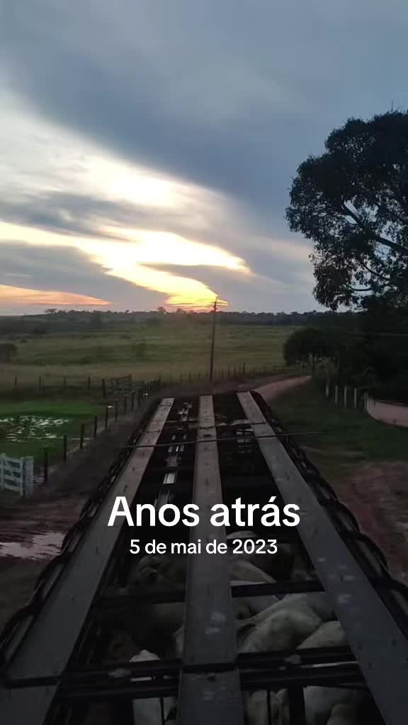 @evandolimarodrigu