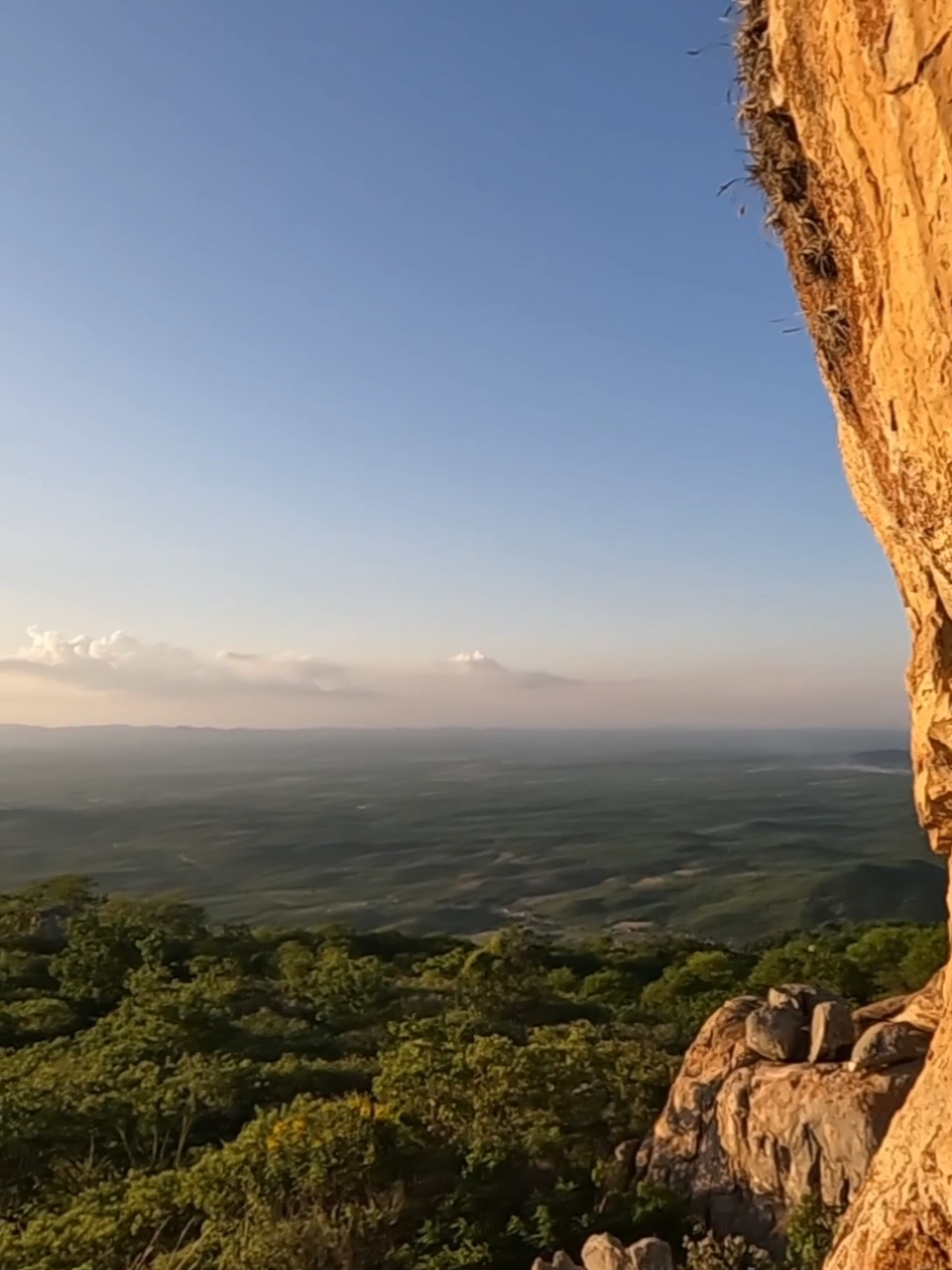 @carlos.tdias