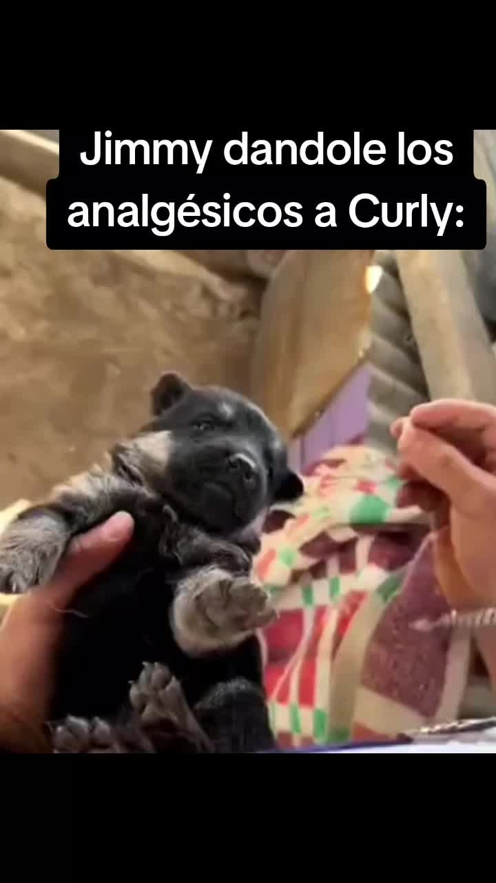@La random de los memes xD