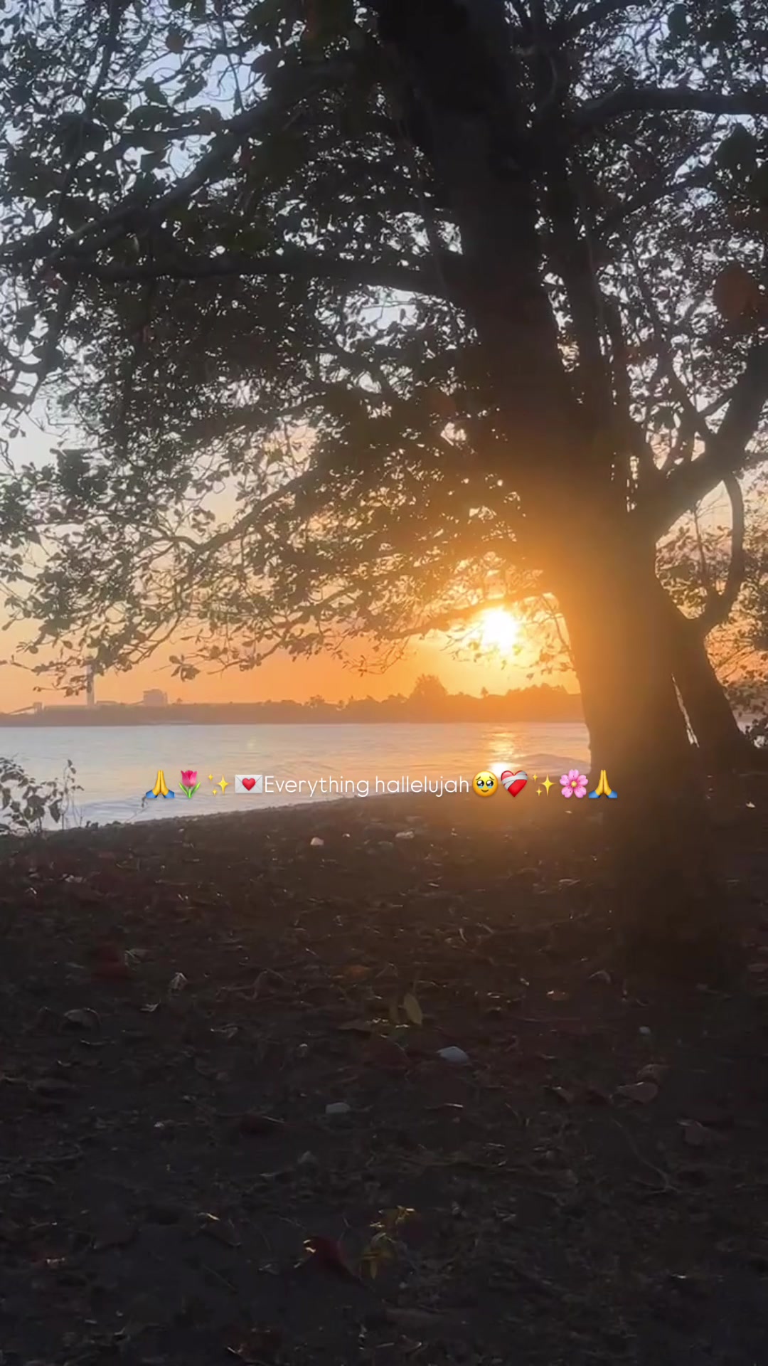 @andravaldez_